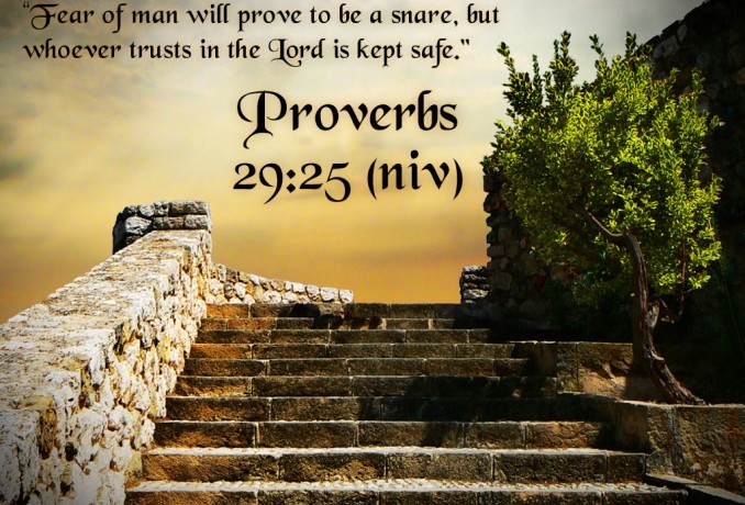 Proverbs 29:25 Proverbs 29:25